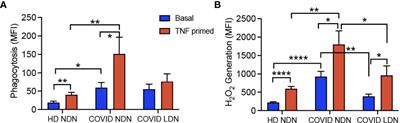 Differential Functional Responses of Neutrophil Subsets in Severe COVID-19 Patients